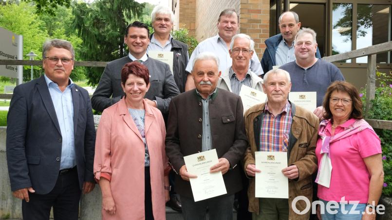 An der Ehrung langjähriger Feldgeschworener nahmen teil (vorne von links): Christian Schmitz, Margit Reichl, Josef Scheuerer, Josef Bartmann und Maria Schlögl. Mittlere Reihe von links: Thomas Ebeling, Josef Klinger und Josef Meißner. Hintere Reihe von links: Albert Lindner, Georg Schlögl und Michael Maier. Bild: Hirsch