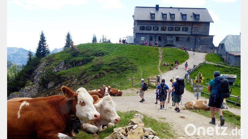 Wanderwege führen zu Rotwandhaus des Deutsche Alpenvereins (DAV) im Mangfallgebirge. Bild: Angelika Warmuth/dpa