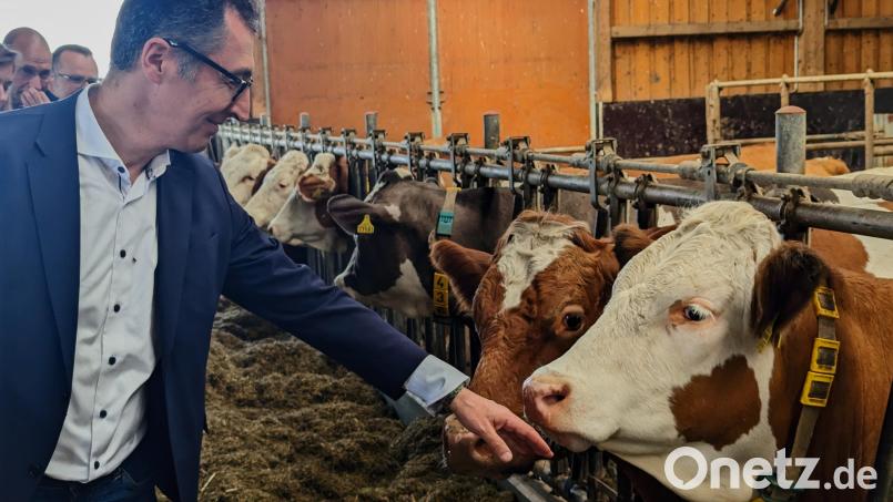 Auf Tuchfühlung: Cem Özdemir beim Hofrundgang in Irrenlohe. Bild: wrl