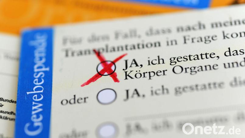 Die Rückseite eines ausgefüllten Organspendeausweises. Das Zustimmungsfeld ist angekreuzt. Bild: Marie Reichenbach/dpa