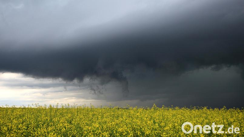 Dunkle Gewitterwolken ziehen hinter einem blühenden Rapsfeld auf. Symbolbild: Alexander Wolf/dpa