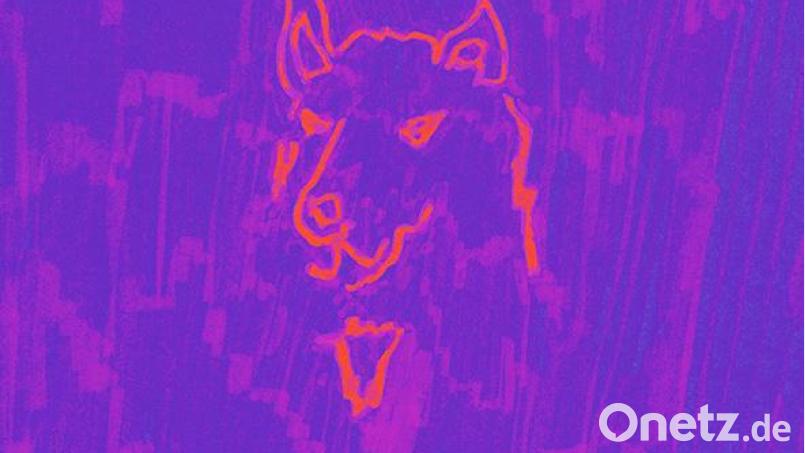 Dehd – Poetry (Fat Possum) Bild: Fat Possum