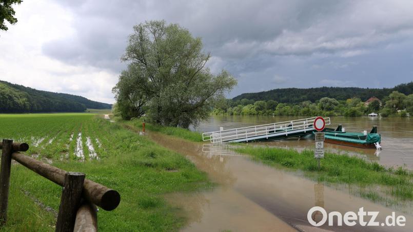 Die Hochwasserlage an der Donau bei Matting einem Ortsteil von Pentling im Landkreis Regensburg.Noch ist alles ruhig. Bild: Petula Hermansky