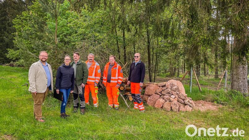 Bürgermeister Hans Walter (von links), Susanne Ullmann-Wiesend, Andreas Dimper, Andreas Mayer, Max Busch, Robert Schraml. Bild: Gemeinde Kastl bei Kemnath/exb