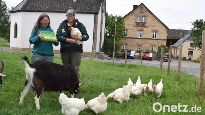Regina Nickl (rechts) vom Gerstenhof in Plössen (im Hintergrund) sucht Paten für ihre Hühner, um ein Hühnermobil anzuschaffen. Maria Zeußel von der Regionalwert AG unterstützt das Vorhaben. Bild: Frauke Engelbrecht/fph