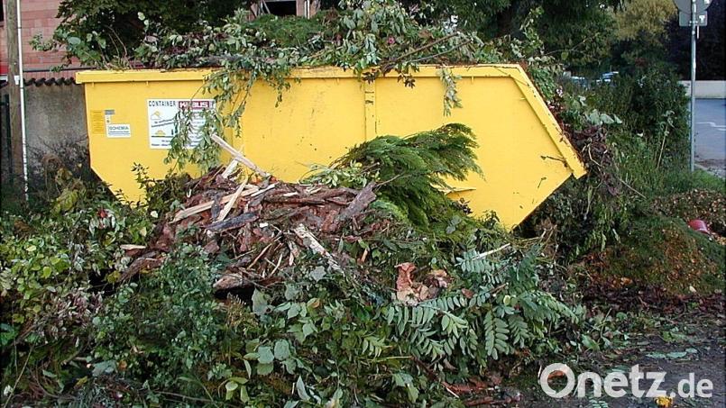 So sollte es nicht aussehen an den Grüngutcontainern in Weiden und dem Landkreis Neustadt/WN. Die Gefahr, dass die Entsorgungsbehälter überquellen, besteht nach den regenreichen Wochen aber mehr denn je. Archivbild: R. Kreuzer