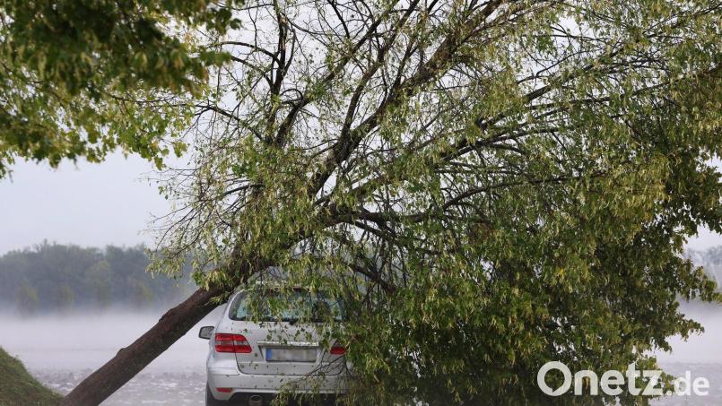 Ein vom Sturm entwurzelter Baum liegt auf dem Parkplatz eines Seniorenheims auf einem Autodach. Symbolbild: Karl-Josef Hildenbrand/dpa