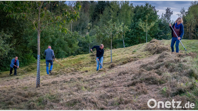 Die Arbeit des OWV im Naturschutz und in der Landschaftspflege nimmt immer breiteren Raum ein. Hier ein Foto von der Pflege der Streuobstwiese, die der Zweigverein Beidl im Jahr 2015 angelegt hat. Bild: OWV Beidl/exb