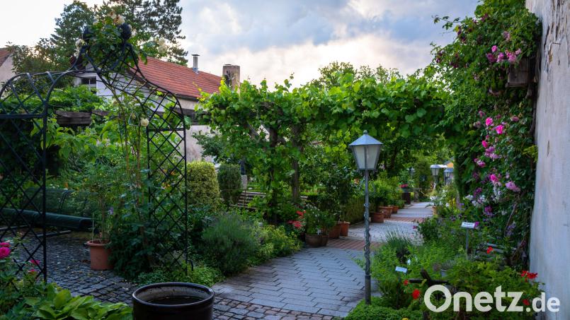 Eine Oase der Ruhe: der Kräutergarten in Schnaittenbach, den es seit 30 Jahren gibt. Bild: Stadt Schnaittenbach/exb