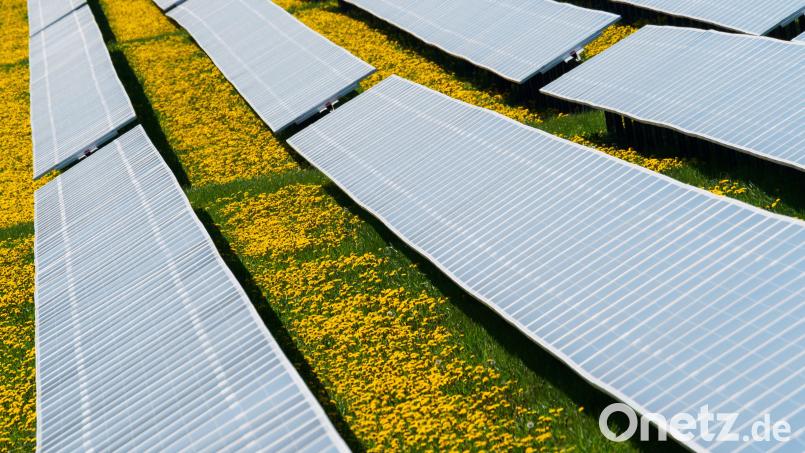 An einer Photovoltaikanlage in der Oberpfalz haben Diebe zugeschlagen Symbolbild: Nicolas Armer/dpa