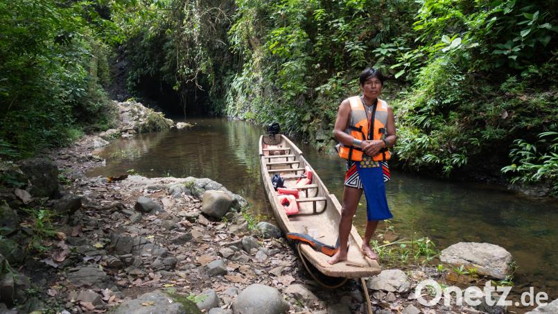 Es geht bis zum Wasserfall Quebrada Bonita: Den Nationalpark Chagres kann man bei einer Bootsfahrt erkunden. Bild: Andreas Drouve/dpa