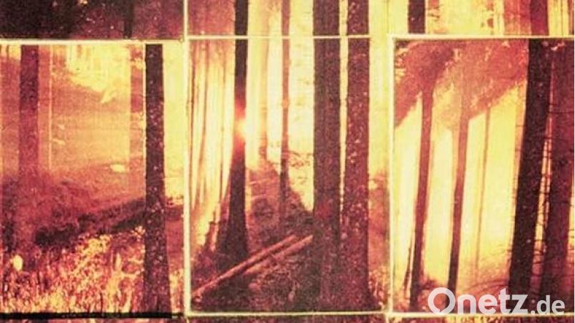 The Third Sound - Most Perfect Solitude (Fuzz Club Rec) Bild: Fuzz Club Rec