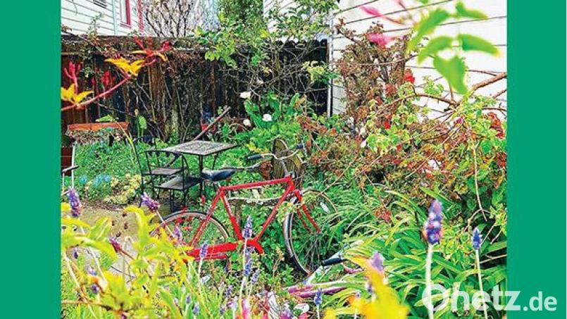 The Reds, Pinks And Purples - Unwishing Well (Cargo) Bild: Cargo