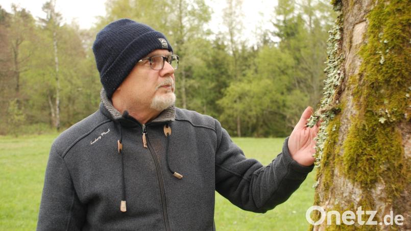 Die Zahl der Flechtenanhänger ist eher überschaubar. Johannes Bradtka, 67, früher beschäftigt bei der Forstverwaltung, heute im Ruhestand, ist einer von ihnen. Bild: cvl