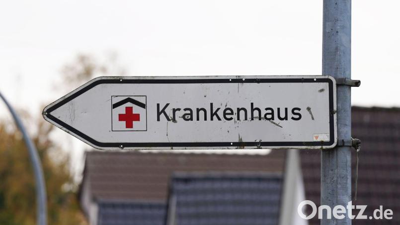 Weil er von seinem Hund gebissen wurde, musste ein Mann in Erlangen ins Krankenhaus. Symbolbild: Marcus Brandt/dpa