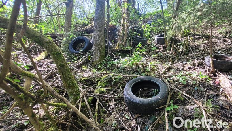Wie an diversen Stellen im ehemaligen Steinbruch Ernstfeld bei Kirchenthumbach haben Unbekannte auch am Osthang illegal Reifen &quot;entsorgt&quot;. Die gehören aber eher noch zu den harmloseren Abfällen, die hier gefunden wurden. Bild: Redaktion Onetz