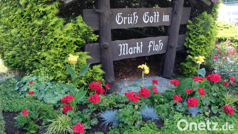 Die gestohlenen Pflanzen sind ersetzt. Bild: le