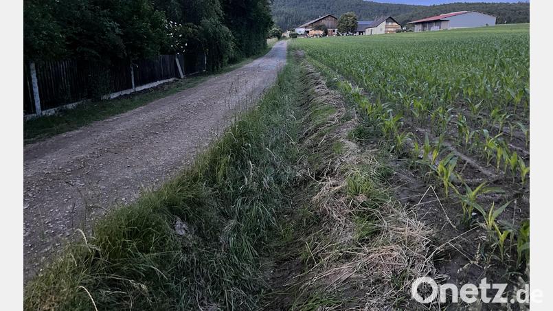 Der Graben(Mitte) soll vergrößert und das Gefälle des Wirtschaftswegs zum Feld hin nach rechts verlegt werden, damit die Wassermassen nicht mehr links in das Wohngebiet fließen können. Bild: sns