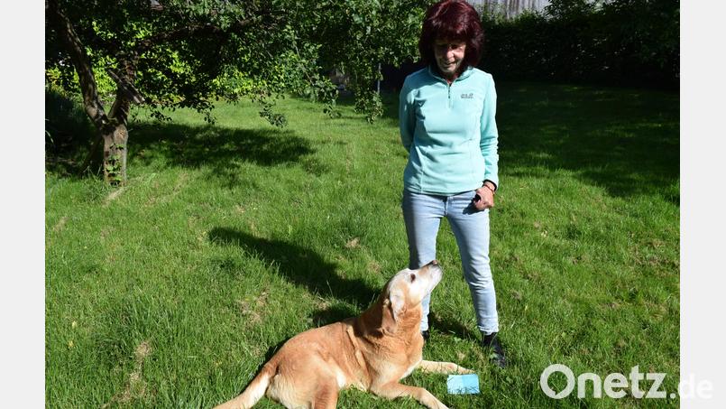 Emma Niklas mit ihrer Labradorhündin Ila, die den Geburtstagswunsch aus Nordrhein-Westfalen beim Gassigehen erschnüffelt hatte. Bild: wfe