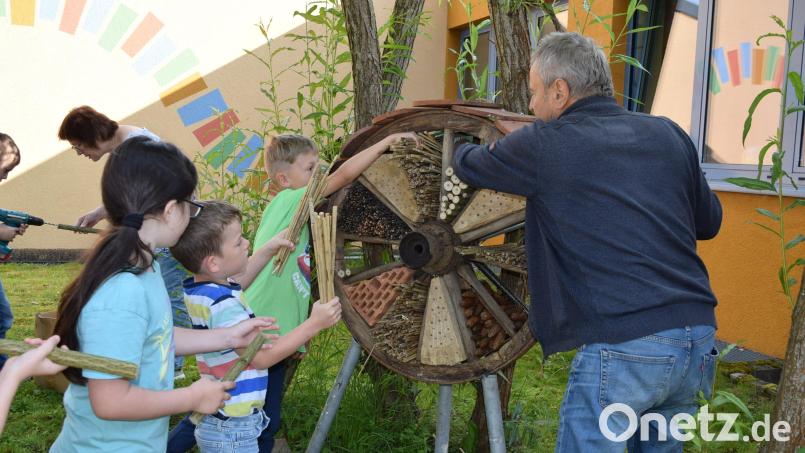 Mit Jakob List, der das große Wagenrad mitgebracht hatte, möblierten die Grundschüler das Insektenhotel. Bild: wfe