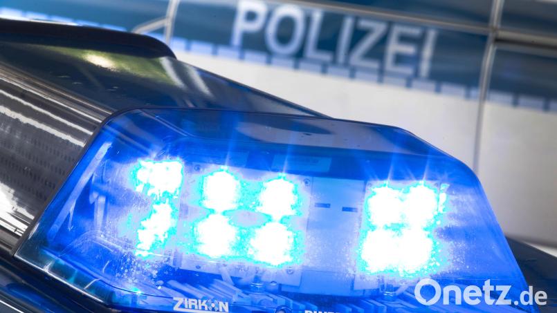 Beim Schneiden von Sträuchern stürzt ein 79-Jähriger in Neunburg von der Leiter – und sieben Meter tief. Symbolbild: Friso Gentsch/dpa