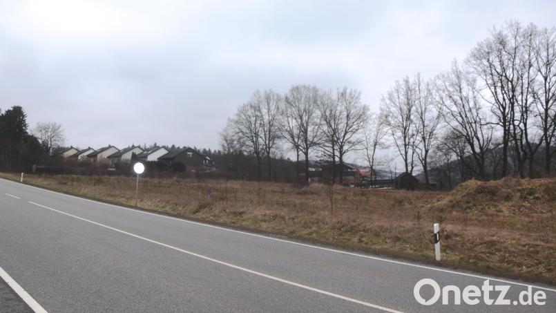 Direkt neben der Bundesstraße hinter einer fünf Meter hohen Schallschutzwand soll das Baugebiet &quot;Weidener Straße&quot; entstehen. Es braucht Fantasie, sich auf dem relativ kleinen Areal 14 Wohneinheiten in zehn Häusern vorzustellen. Bild: fz
