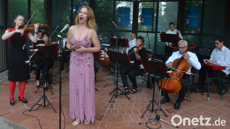 Das Original Salonorchester Marienbad spielt bei den Weidener Sommerserenaden. Bild: Kunz