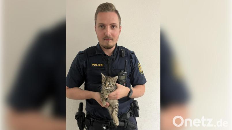 Die Polizei hat das Katzenbaby Mona gerettet. Bild: Polizeiinspektion Amberg