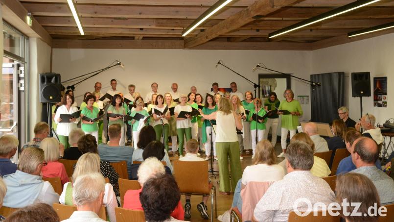 Die Chorgemeinschaft Parkstein erfreut beim Sommerkonzert im Steinstadl das Publikum. Bild: bey