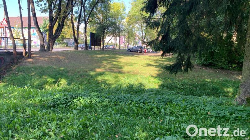 Im Wittgarten gegenüber dem Jugendzentrum hätte sich ein Pumptrack relativ kostengünstig realisieren lassen - dank Förderung. Bild: Gabi Schönberger