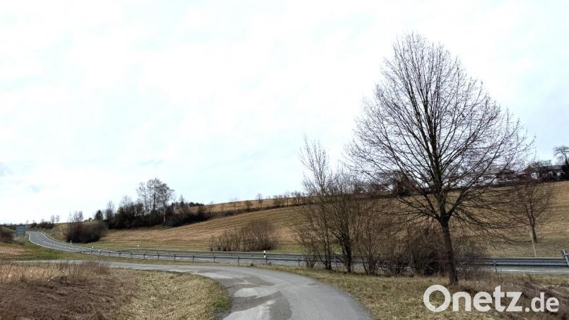 Für den geplanten Solarpark an der Störnsteiner Spange fordert der Bund Naturschutz eine Ausgleichsfläche für die Feldlerche. Bild: Eichl