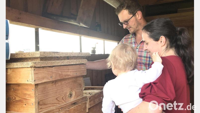 Die bei der Familie Beer lebenden Carnica-Bienen sind laut Florian Beer sehr friedlich. Deshalb nehmen Sarah und Florian Beer die kleine Lotte unbesorgt mit ins Bienenhaus. Bild: wro