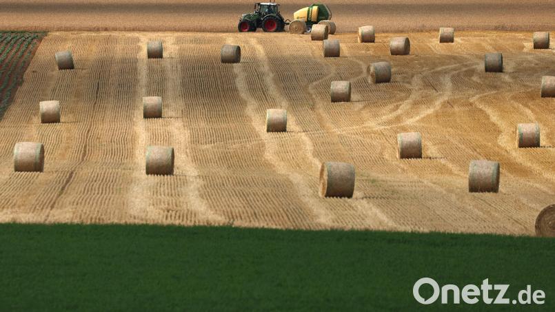Der Sommer 2024 bleibt laut Wetterexperte Andy Neumaier ein Wackelkandidat. Bild: Karl-Josef Hildenbrand