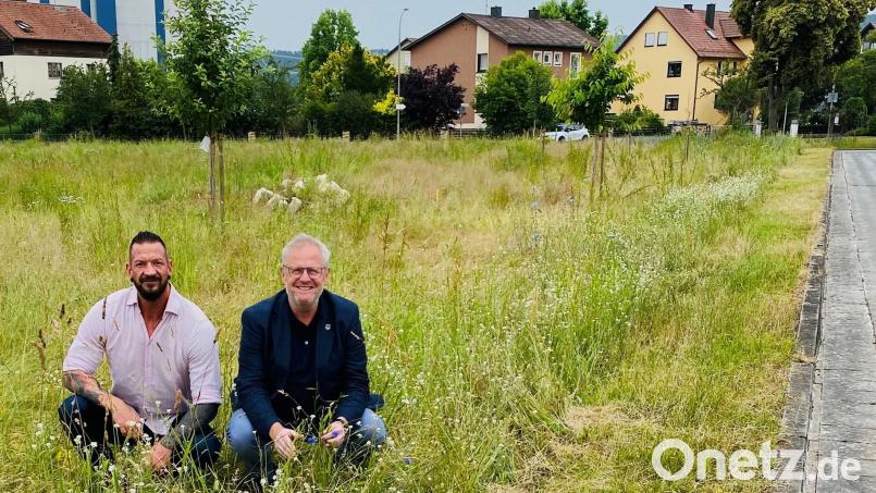 Oberbürgermeister Andreas Feller (rechts) und Bauhofleiter Michael Übel erläutern die Vorgehensweise bei den Mäharbeiten des Städtischen Bauhofes. Hier sind Verkehrssicherheit und Naturschutz von Bedeutung. Bild: Kerschbaum/Stadt Schwandorf/exb
