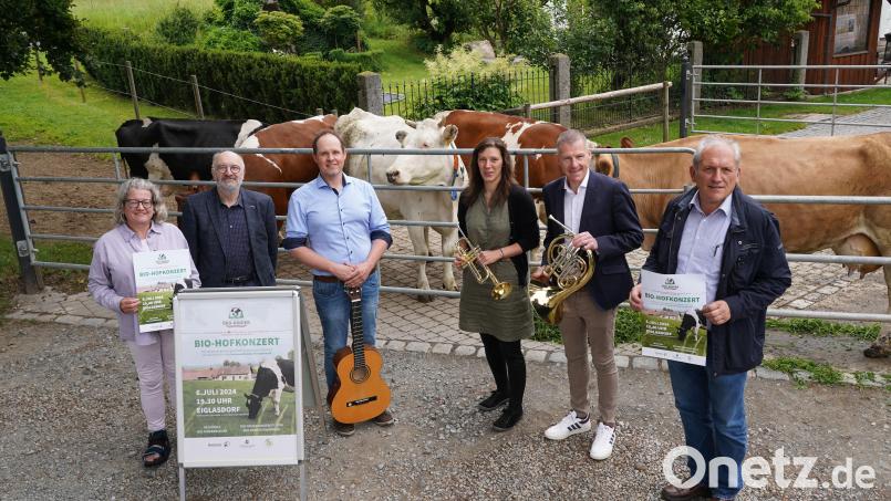 Eva Gibhardt und Günther Erhardt von der Öko-Modellregion, Hofbesitzer Matthias Zahn, Projektleiterin Elisabeth Waldeck, Musikschulleiter Tobias Böhm und Bürgermeister Werner Prucker (von links) sind gespannt, wie die Veranstaltung bei den Kühen ankommt. Bild: Steinwald-Allianz/exb