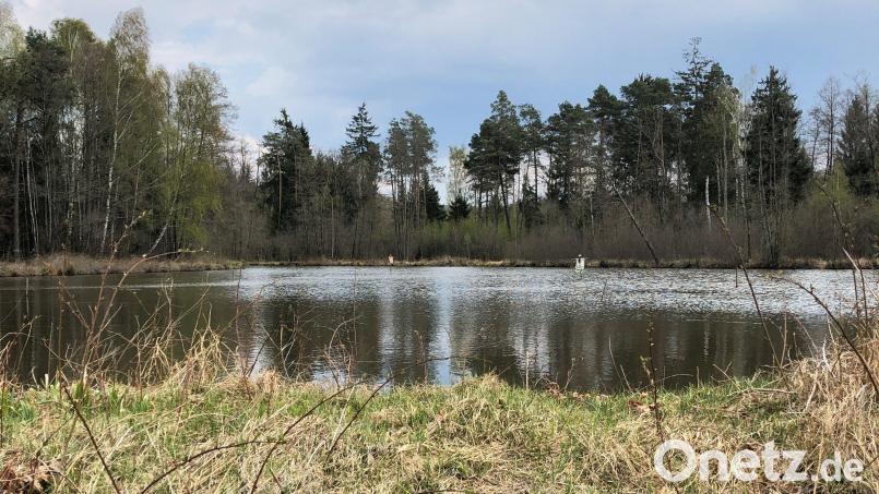 Das Gebiet rund um den Eselweiher bietet einen Erholungsraum für Spaziergänger, Läufer, Radfahrer, Hobby-Naturkundlern, Angler und Stockschützen. Bild: Dobler