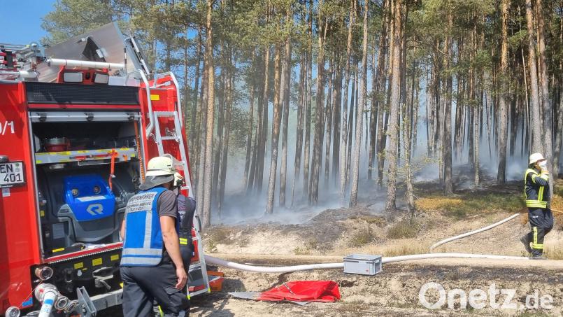 Wald- und Feldbrände fordern die Feuerwehren immer häufiger. Archivbild: Feuerwehr Nabburg