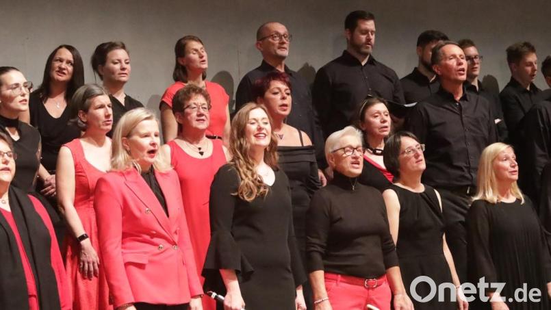 SingingWitt, der überregional geschätzte Chor der Witt-Gruppe, gibt am 26. Juli ein Chorkonzert in der Klosterkirche Speinshart. Wenn es die Wetterverhältnisse erlauben, findet das Event im Innenhof der Prämonstratenserabtei statt. Bild: do