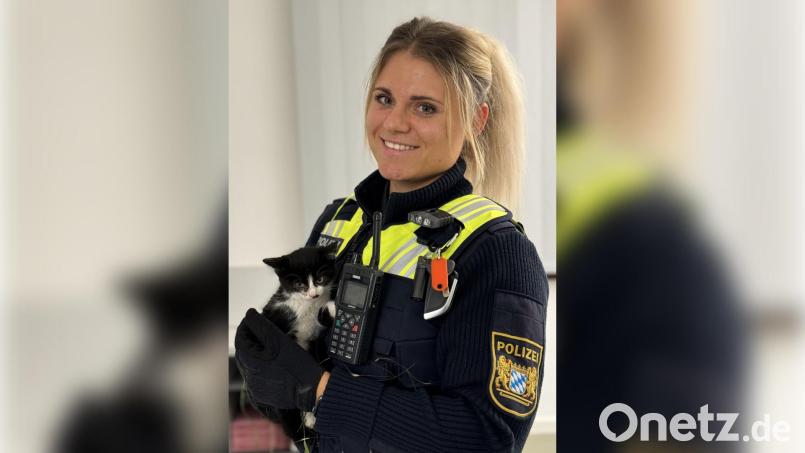Polizeiobermeisterin Anna-Lena Meiler mit der Fundkatze auf dem Arm. Bild: POM Werner, PI Nabburg