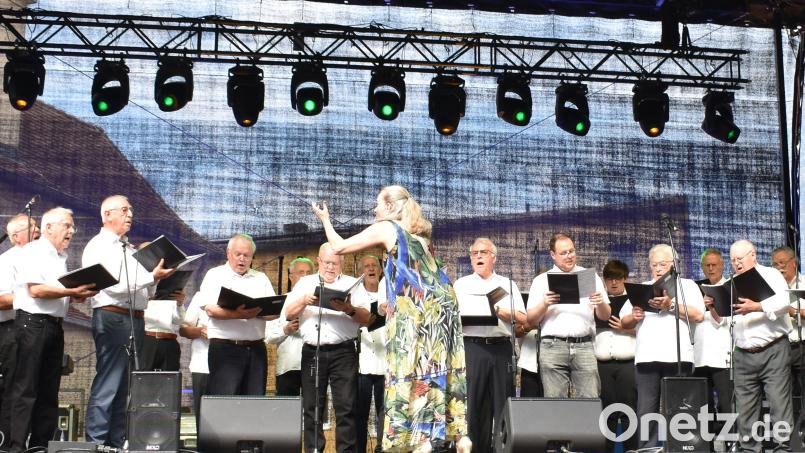Der Projekt-Männerchor aus dem Städtedreieck. Bild: rgr