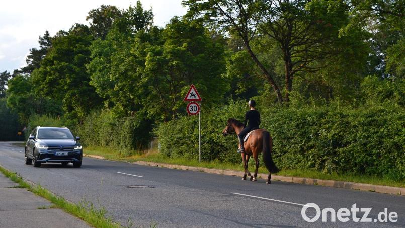 Auch Reiter müssen sich an die Straßenverkehrsordnung halten. Bild: Mutiara Sudarma