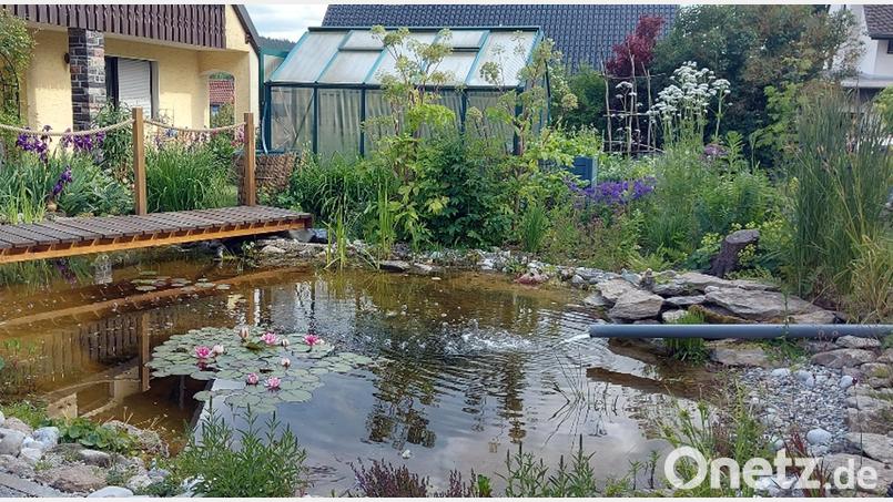 Die Deutschen lieben einen schönen Garten. Bild: Manuela Pappenberger