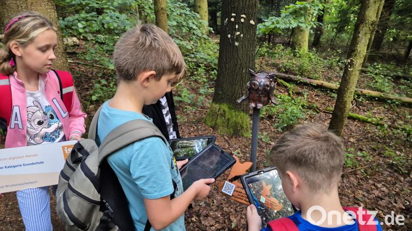 QR-Code einscannen und im Internet nachlesen: Annika Reichel, Bastian Stangl und Lenny Ermer (von links) wissen wie&#039;s geht. Der Schulwald hinter dem Freibad Windischeschenbach ist ein ganz besonderer Ort zum Lernen. Bild: Lowak
