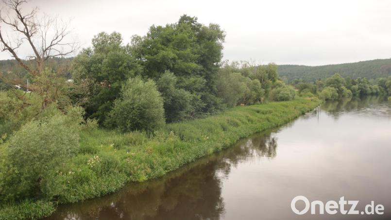 Die Naab tritt bei Brensdorf immer wieder über die Ufer. Nun sollen bauliche Maßnahmen das Dorf vor Hochwasser schützen. Bild: Hirsch