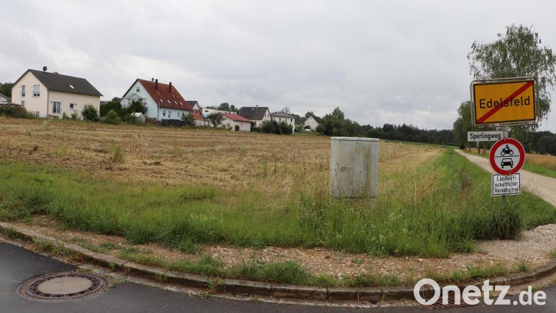 Auf dieser Fläche sollen die neuen Bauparzellen in Edelsfeld realisiert werden. Bild: gru