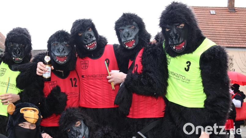 Die Spieler der A-Jugend des 1. FC Rieden waren 2023 am Faschingszug als Gorillas verkleidet. Nachdem eine damals 13-Jährige behauptet hatte, ein als Gorilla verkleideter Mann habe ihr einen Masskrug ins Gesicht geworfen, kamen sie kurzzeitig in Bedrängnis. Nun hat eine Gerichtsverhandlung offenbart, dass es Masskrug werfende Gorillas nie gegeben hat. Archivbild: mrr