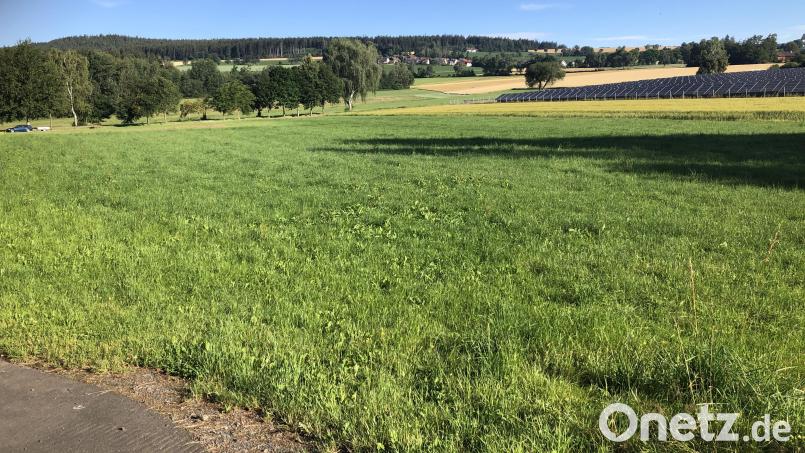 Das neue Sport- und Freizeitgelände soll auf dem Grundstück unterhalb der beiden Solarparks (rechts) - zwischen Fuchsmühl und Güttern - entstehen. Die Fläche befindet sich im Norden des Waldbadeweihers. Bild: wro