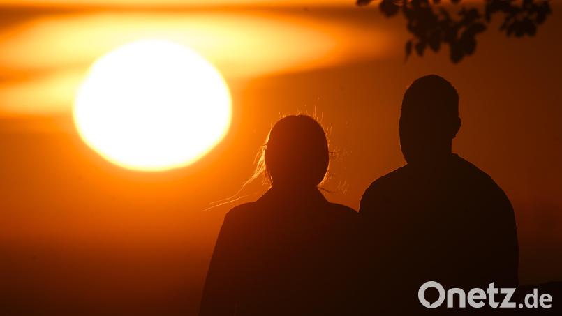 Wegen eines angeblichen Liebesspiels wurden Beamte der Polizeiinspektion Burglengenfeld in den Wildpark Höllohe gerufen. Symbolbild: Julian Stratenschulte