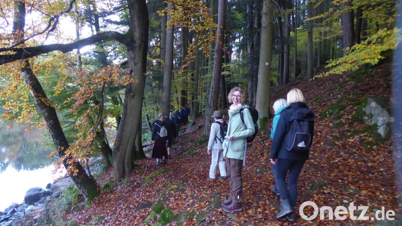 Die Hauptwanderwartin Ursa Versch aus Parkstein bei einer ihrer Wanderungen. Bild: jeb