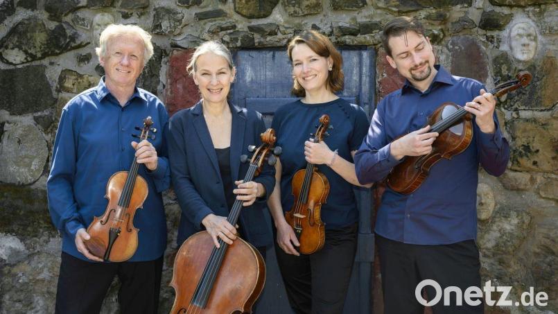Das Martinů Quartett tritt am Sonntag, 4. August, bei den Wurzer Sommerkonzerten auf. Bild: Petra Hajska/exb